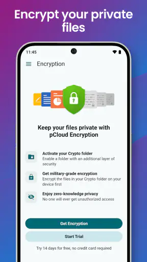 pCloud: Cloud Storage