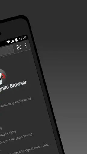 Puffin Incognito Browser