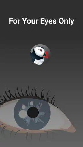Puffin Incognito Browser
