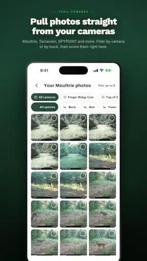 rackline.ai - AI Deer Scoring