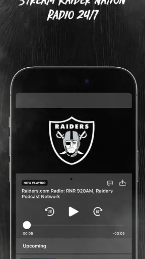 Raiders + Allegiant Stadium
