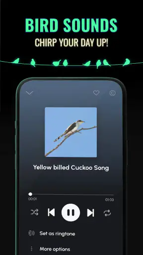 Ringtones for Android™