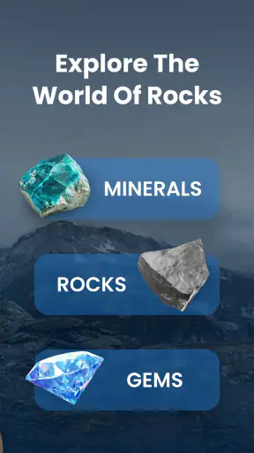 RockIn Rock&Meteorite Identify