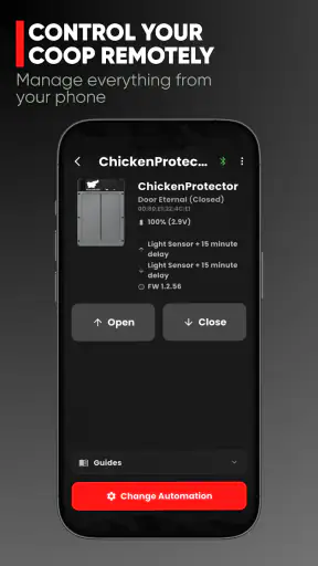 RUN-CHICKEN