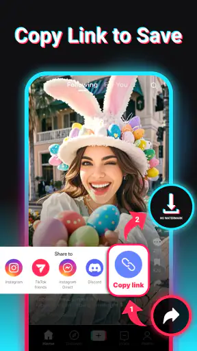 SnapTok - TT Video Downloader