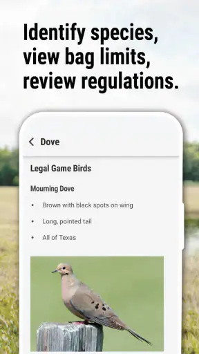 Texas Outdoor Annual