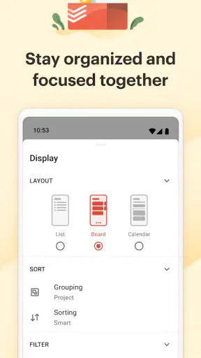 Todoist: To Do List & Calendar