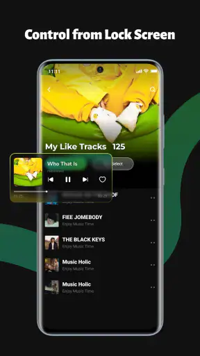 TuneCarry: Offline Music