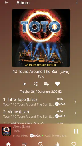 USB Audio Player PRO