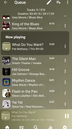 USB Audio Player PRO