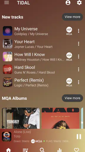 USB Audio Player PRO