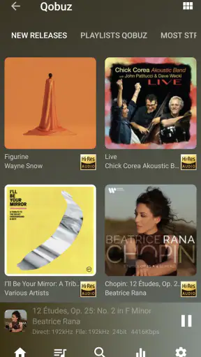 USB Audio Player PRO
