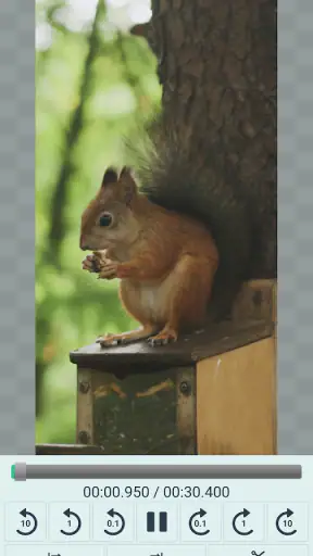 Video Cutter Pro
