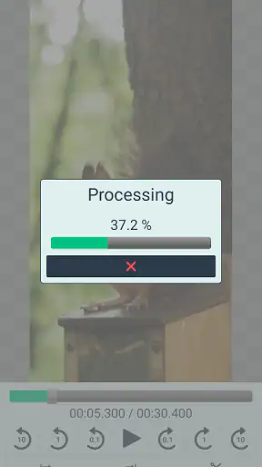 Video Cutter Pro