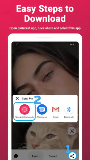 Video Downloader for Pinterest