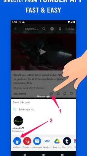 Video Downloader for Tumblr