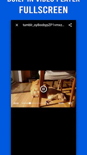 Video Downloader for Tumblr