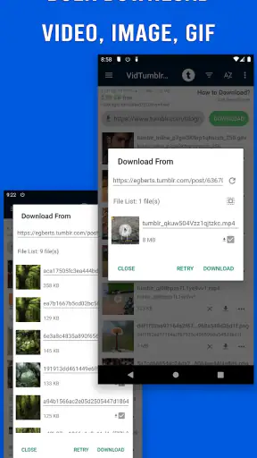 Video Downloader for Tumblr