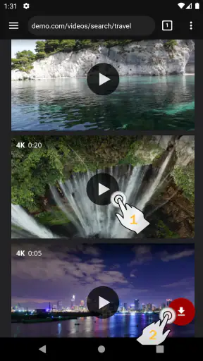 Video Downloader Pro