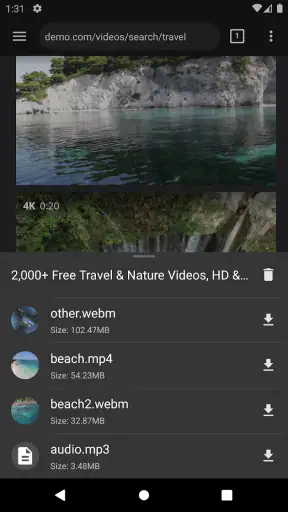 Video Downloader Pro