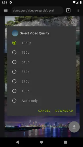 Video Downloader Pro