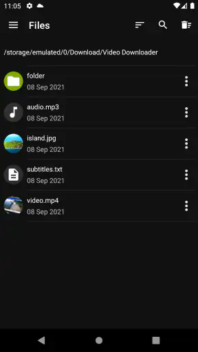 Video Downloader Pro