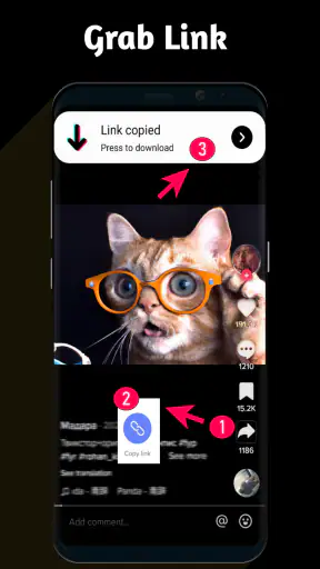 Video Downloader TSaver