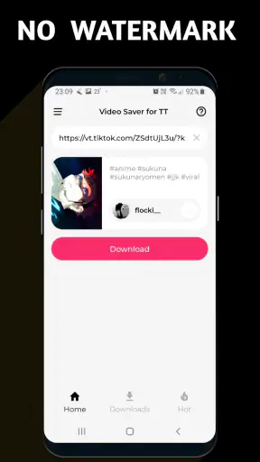 Video Downloader TSaver