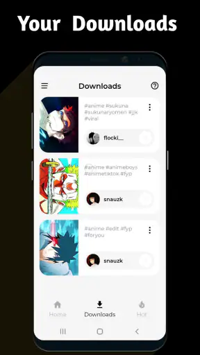 Video Downloader TSaver