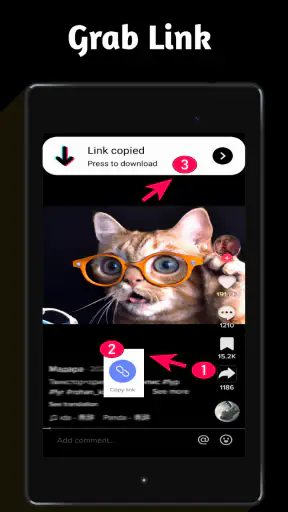 Video Downloader TSaver