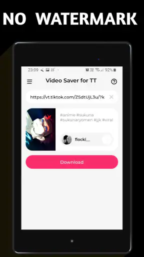 Video Downloader TSaver