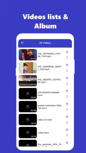 Video Player Subtitle Support