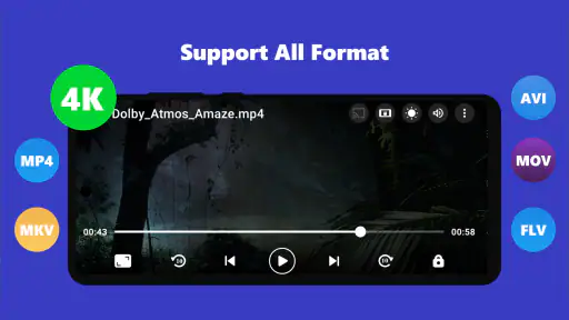 Video Player Subtitle Support