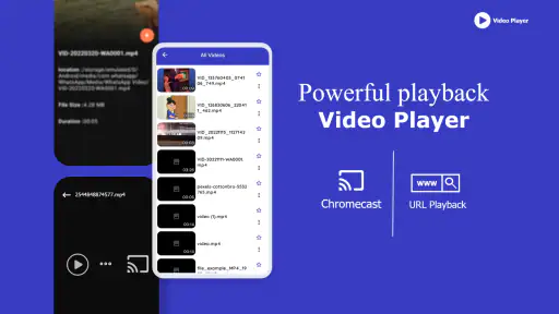Video Player Subtitle Support