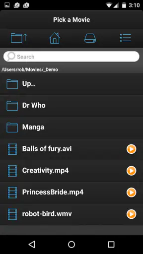 VLC Streamer