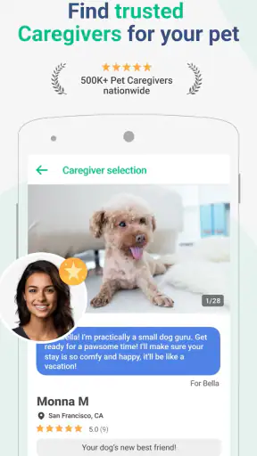 Wag! - Dog Walkers & Sitters