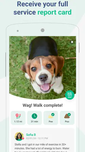 Wag! - Dog Walkers & Sitters