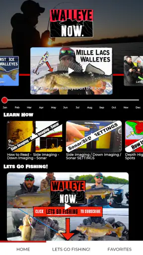 Walleye Now