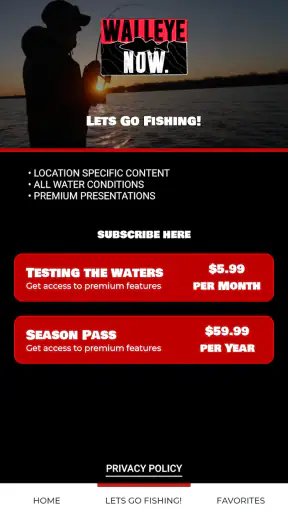 Walleye Now