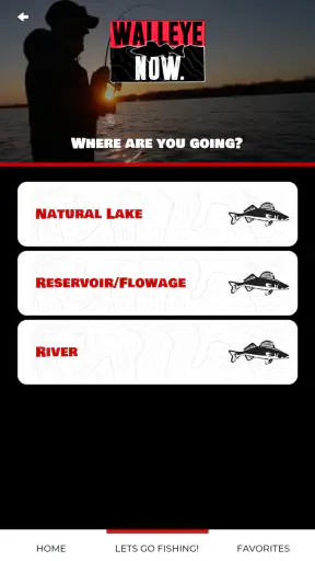 Walleye Now