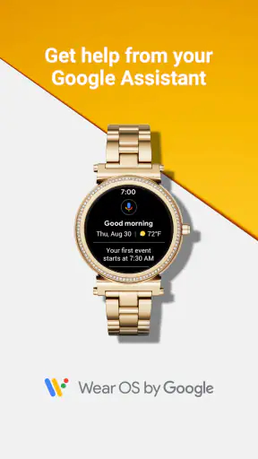 Wear OS by Google Smartwatch