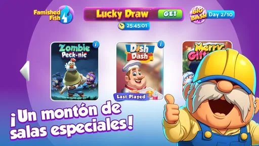 Bingo Bash: bingo en vivo