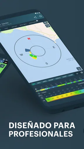 Windy.app - vientos y oleajes