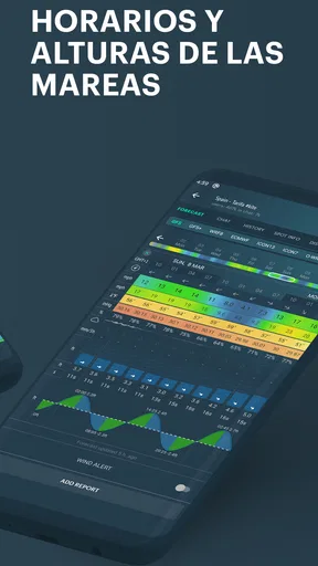 Windy.app - vientos y oleajes