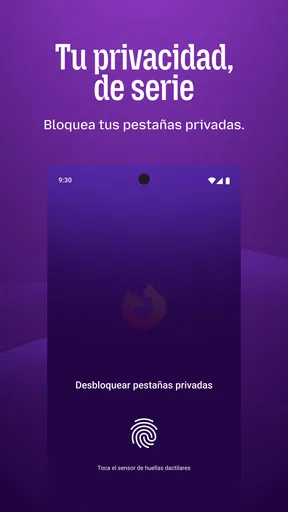 Firefox: navegador privado