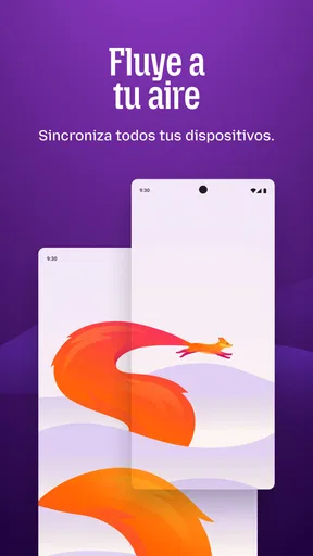 Firefox: navegador privado