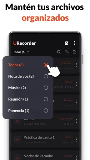 Grabadora de Voz, Grabar Audio