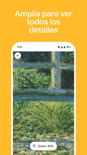 Google Arts & Culture