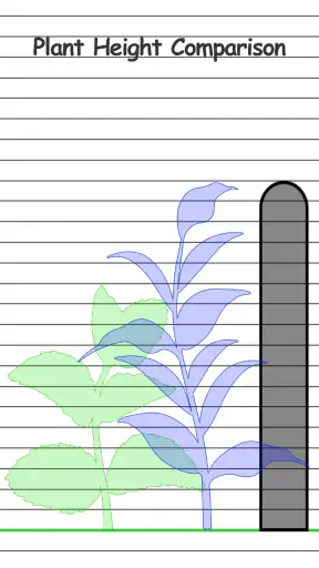 Height Measurement App