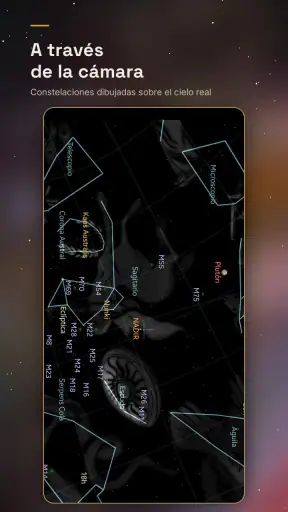 SkyX: Mapa estelar